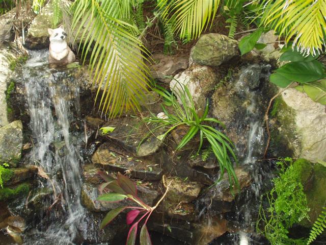 Image 18 of 28  -  81 kB